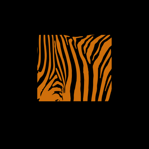 My Store